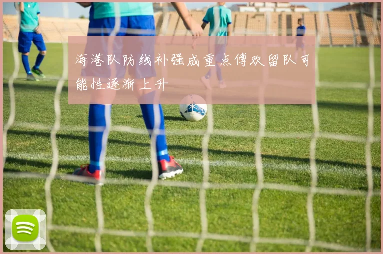 海港队防线补强成重点傅欢留队可能性逐渐上升